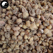 Shan Ci Gu 山慈菇, Indian Iphigenia Bulb, Rhizoma Pleionis-Health Wisdom™