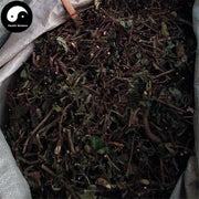 Shan Gan Cao 山甘草, Yu Ye Jin Hua, Hu Die Teng, Mussaenda Pubescens-Health Wisdom™