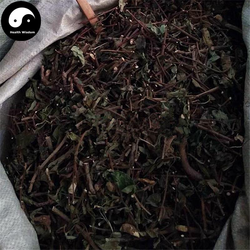 Shan Gan Cao 山甘草, Yu Ye Jin Hua, Hu Die Teng, Mussaenda Pubescens-Health Wisdom™