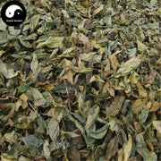 Shan Xiang Yuan Ye 山香圓葉, Folium Turpiniae, Turpinia Arguta Leaf-Health Wisdom™