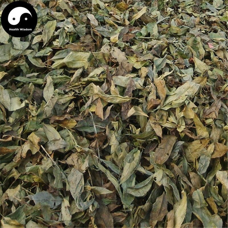 Shan Xiang Yuan Ye 山香圓葉, Folium Turpiniae, Turpinia Arguta Leaf-Health Wisdom™