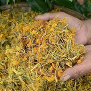 Shan Yin Hua 山銀花, Flos Lonicera Hypoglauca, Wild Honeysuckle Flower Tea-Health Wisdom™