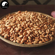 Shan Zha He 山楂核, Semen Crataegi, Seed of Chinese Hawthorn-Health Wisdom™