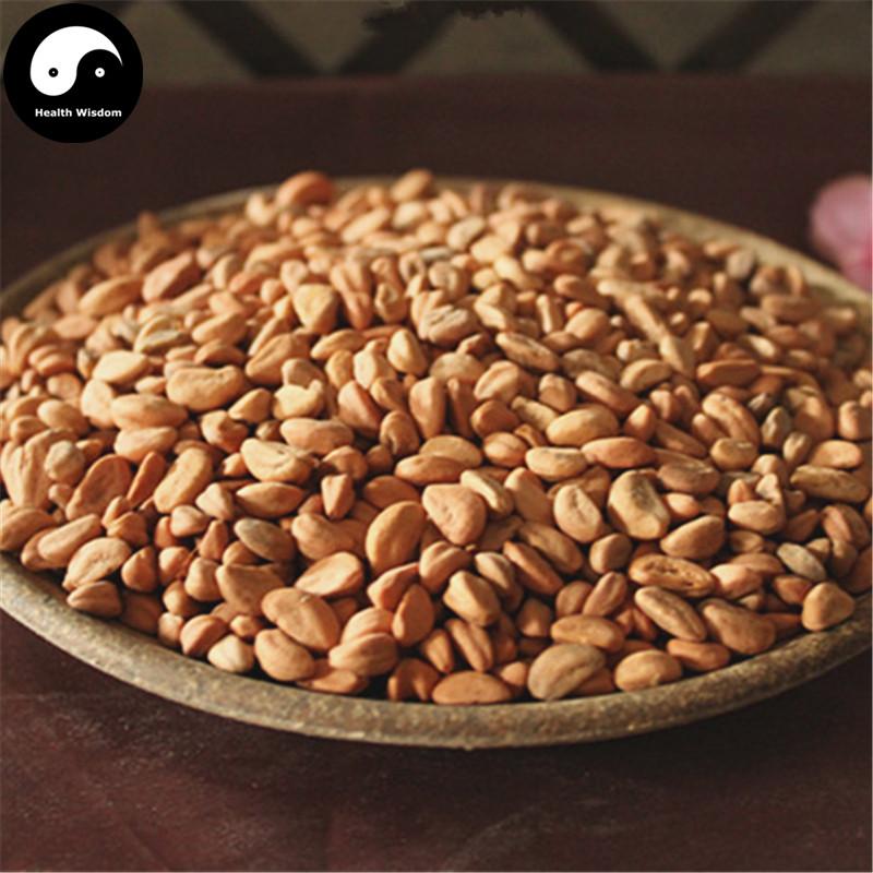 Shan Zha He 山楂核, Semen Crataegi, Seed of Chinese Hawthorn-Health Wisdom™