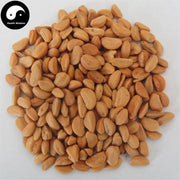 Shan Zha He 山楂核, Semen Crataegi, Seed of Chinese Hawthorn-Health Wisdom™