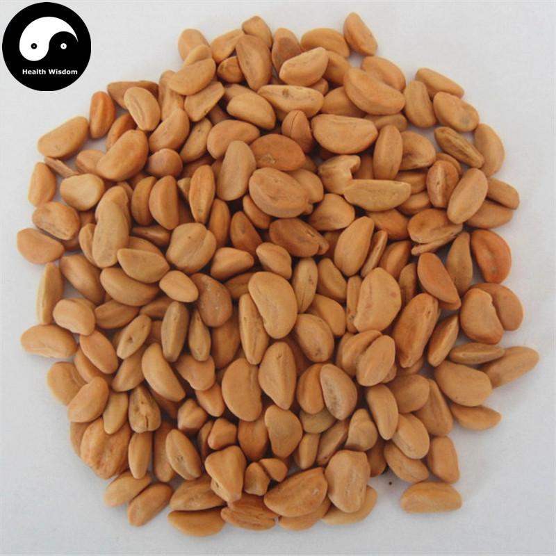 Shan Zha He 山楂核, Semen Crataegi, Seed of Chinese Hawthorn-Health Wisdom™