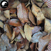 Shan Zha Ye 山楂葉, Folium Crataegi, Hawthorn Leaf-Health Wisdom™