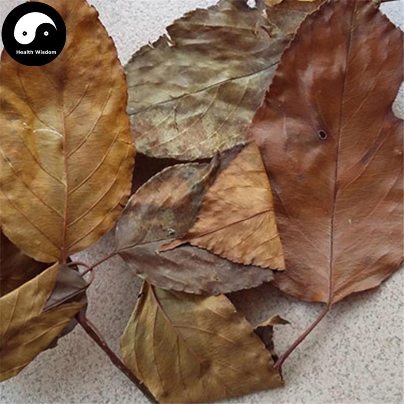 Shan Zha Ye 山楂葉, Folium Crataegi, Hawthorn Leaf-Health Wisdom™