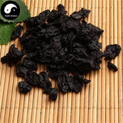 Shan Zhu Yu 山茱萸, Shan Yu Rou, Baked Fructus Corni, Cornus Fruit-Health Wisdom™