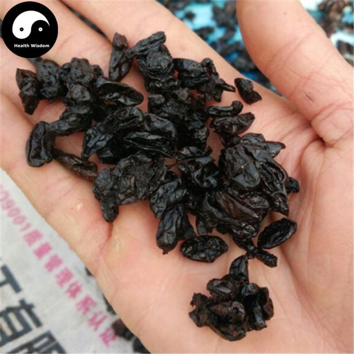 Shan Zhu Yu 山茱萸, Shan Yu Rou, Baked Fructus Corni, Cornus Fruit-Health Wisdom™