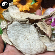 She Liu Gu 蛇六谷, Mo Yu, Devilstongue, Rivier Giantarum Rhizome, Rhizoma Amorphophalli-Health Wisdom™