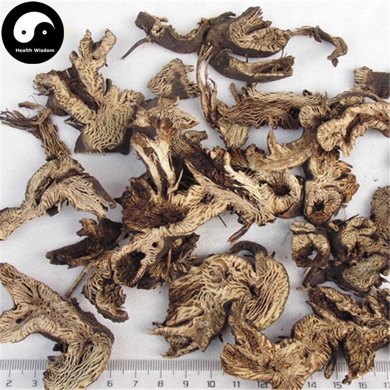 Sheng Ma 升麻, Rhizoma Cimicifugae, Largetrifoliolious Bugbane Rhizome, Cimicifuga Foetida Root-Health Wisdom™