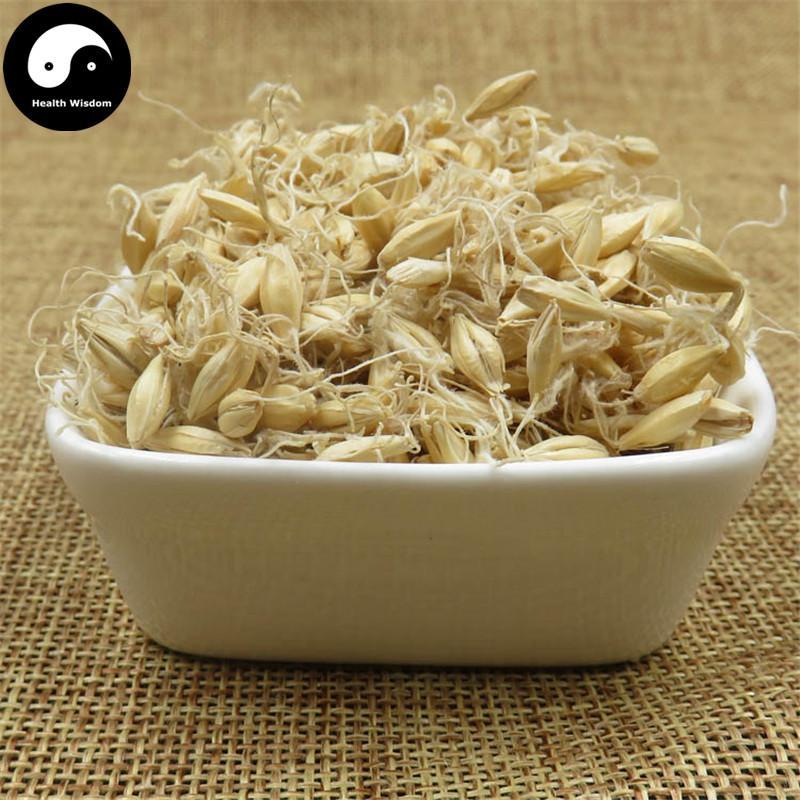 Sheng Mai Ya 生麥芽, Fructus Hordei Germinatus, Raw Malt-Health Wisdom™