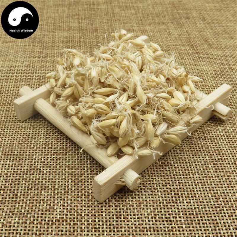 Sheng Mai Ya 生麥芽, Fructus Hordei Germinatus, Raw Malt-Health Wisdom™