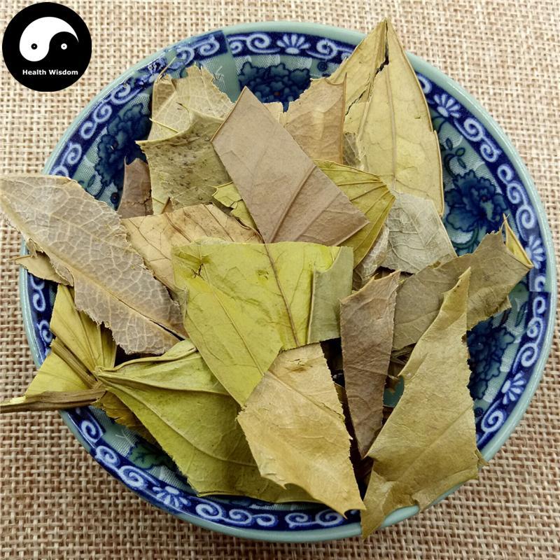Shi Da Gong Lao Ye 十大功勞葉, Chinese Mahonia Leaf, Mao Er Ci, Ba Jiao Ci-Health Wisdom™
