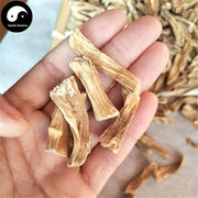 Shi Diao Bai 石刁柏, Herba Asparagus, Lu Sun-Health Wisdom™