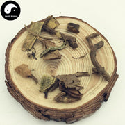 Shi Diao Lan 石吊兰, Herba Lysionti, Fewflower Lysionotus Herb, Lysionotus Pauciflorus-Health Wisdom™
