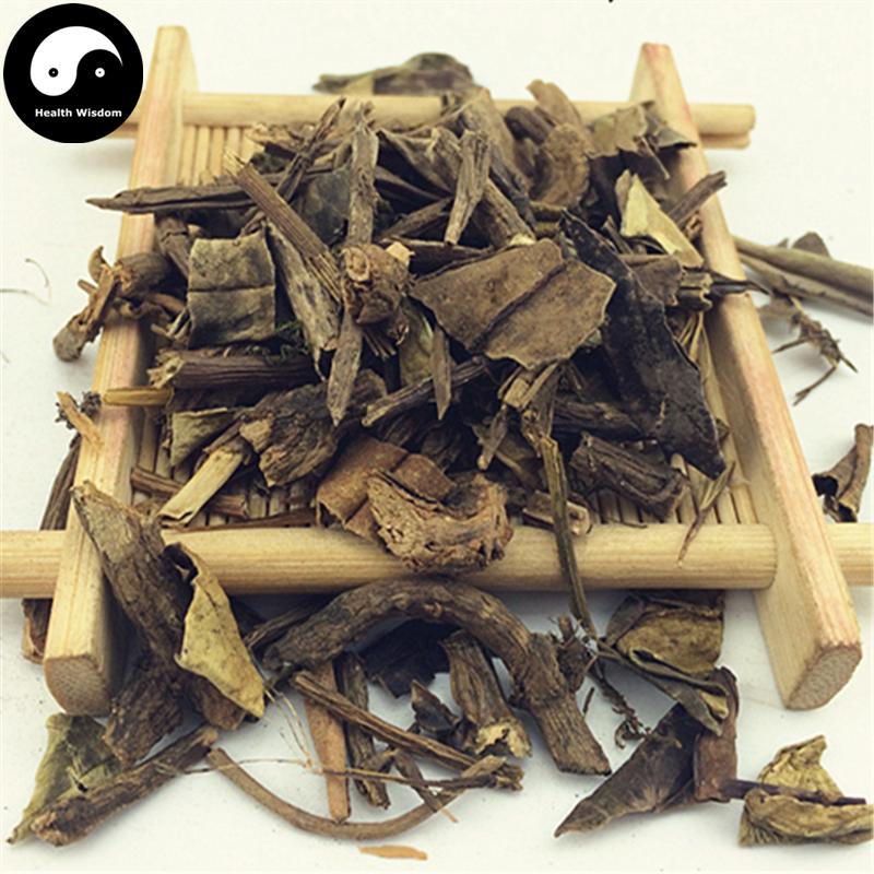 Shi Diao Lan 石吊兰, Herba Lysionti, Fewflower Lysionotus Herb, Lysionotus Pauciflorus-Health Wisdom™