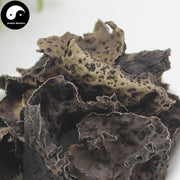 Shi Er 石耳, Umbilicaria Esculenta Miyoshi, Rock Tripe, Rock Ear, Stone Ear-Health Wisdom™