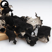 Shi Er 石耳, Umbilicaria Esculenta Miyoshi, Rock Tripe, Rock Ear, Stone Ear-Health Wisdom™