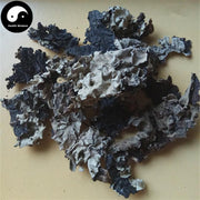 Shi Hua 石花, Di Yi 地衣, Parmelia Saxatilis, Fungi, Lichens-Health Wisdom™