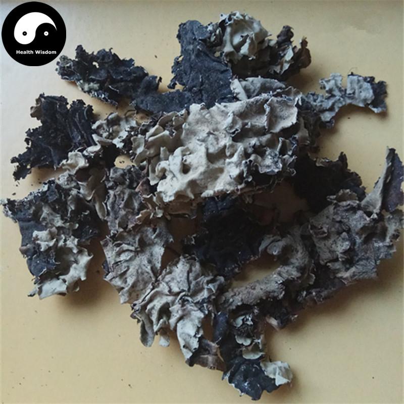 Shi Hua 石花, Di Yi 地衣, Parmelia Saxatilis, Fungi, Lichens-Health Wisdom™