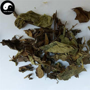 Shi Jian Chuan 石見穿, Chinese Sage Herb, Herba Salviae Chinensis, Zi Shen-Health Wisdom™