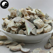 Shi Jue Ming 石决明, Concha Haliotidis, Abalone Shell, Sea Ear Shell, Haliotis-Health Wisdom™