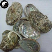 Shi Jue Ming 石决明, Concha Haliotidis, Abalone Shell, Sea Ear Shell, Haliotis-Health Wisdom™