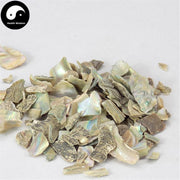 Shi Jue Ming 石决明, Concha Haliotidis, Abalone Shell, Sea Ear Shell, Haliotis-Health Wisdom™