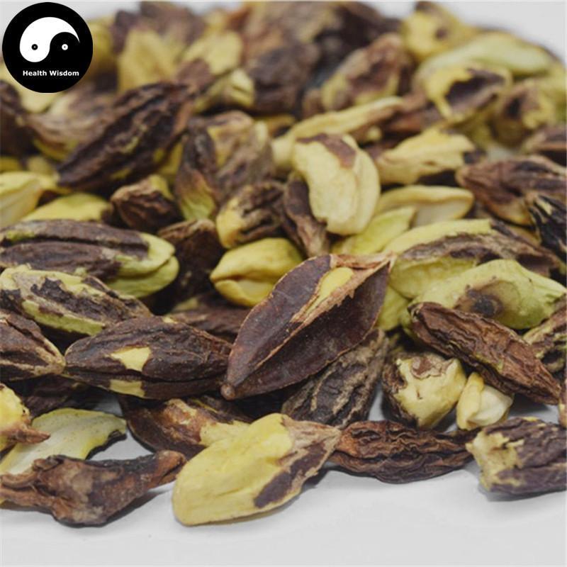Shi Jun Zi Ren 使君子仁, Fructus Quisqualis, Rangooncreeper Fruit, Shi Jun Zi Rou-Health Wisdom™