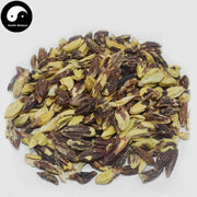 Shi Jun Zi Ren 使君子仁, Fructus Quisqualis, Rangooncreeper Fruit, Shi Jun Zi Rou-Health Wisdom™