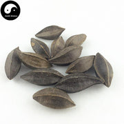 Shi Jun Zi 使君子, Fructus Quisqualis, Rangooncreeper Fruit-Health Wisdom™