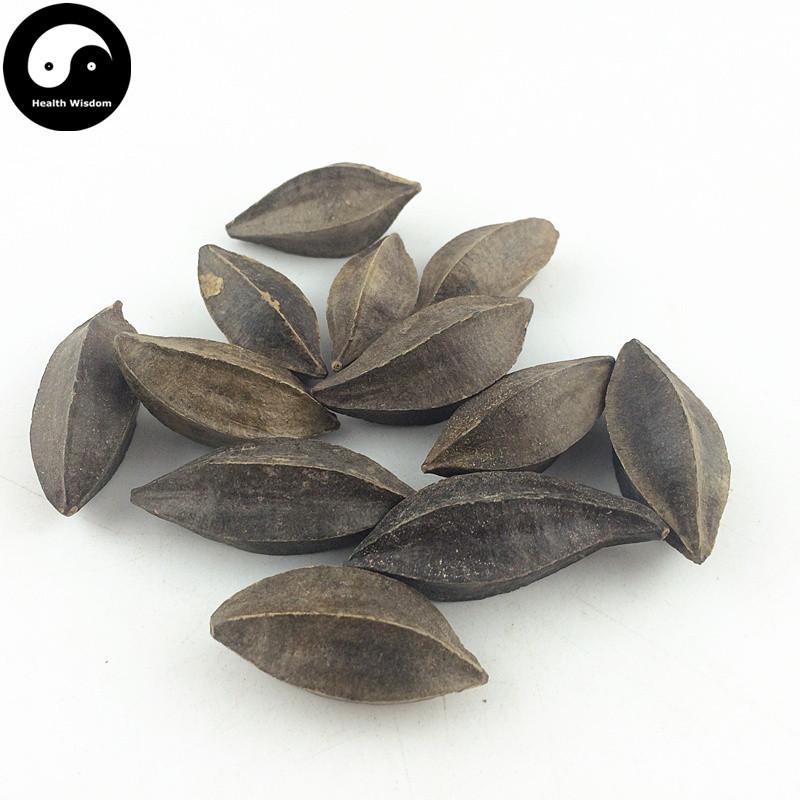 Shi Jun Zi 使君子, Fructus Quisqualis, Rangooncreeper Fruit-Health Wisdom™