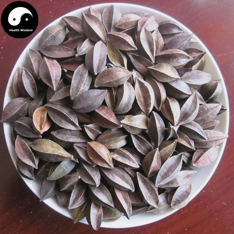 Shi Jun Zi 使君子, Fructus Quisqualis, Rangooncreeper Fruit-Health Wisdom™