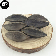 Shi Jun Zi 使君子, Fructus Quisqualis, Rangooncreeper Fruit-Health Wisdom™