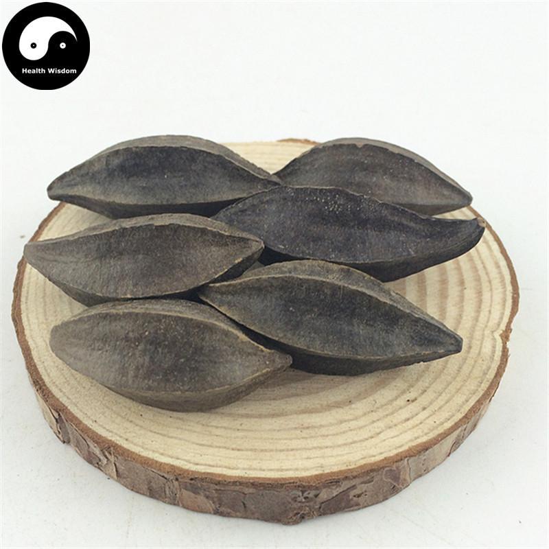 Shi Jun Zi 使君子, Fructus Quisqualis, Rangooncreeper Fruit-Health Wisdom™