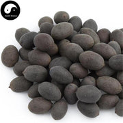 Shi Lian Zi 石蓮子, Black Lotus Seed-Health Wisdom™