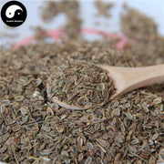 Shi Luo Zi 蒔蘿籽, Dill Seed, Qian Li Xiang-Health Wisdom™