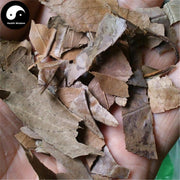 Shi Nan Ye 石楠葉, Folium Photiniae, Chinese Photinia Leaf-Health Wisdom™
