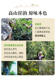 Shi Ya Cha 石崖茶, Adinandra Glischrolom Tea, Wild Shi Yan Cha 石岩茶, Organic Stone Tea Shayacha-Health Wisdom™