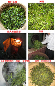 Shi Ya Cha 石崖茶, Adinandra Glischrolom Tea, Wild Shi Yan Cha 石岩茶, Organic Stone Tea Shayacha-Health Wisdom™