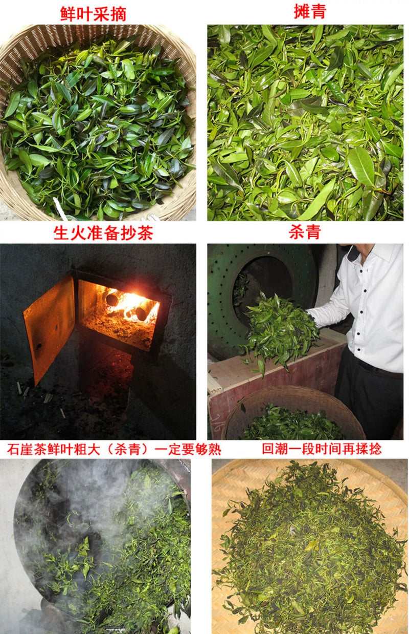Shi Ya Cha 石崖茶, Adinandra Glischrolom Tea, Wild Shi Yan Cha 石岩茶, Organic Stone Tea Shayacha-Health Wisdom™