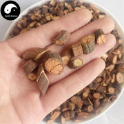 Shou Wu Teng 首烏藤, Herb Tea Caulis Polygoni Multiflori, Ye Jiao Teng, Tuber Fleeceflower Stem-Health Wisdom™