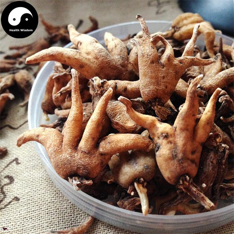 Shou Zhang Shen 手掌参, Conic Gymnadenia Rhizome, Gymnadenia Conopsea-Health Wisdom™