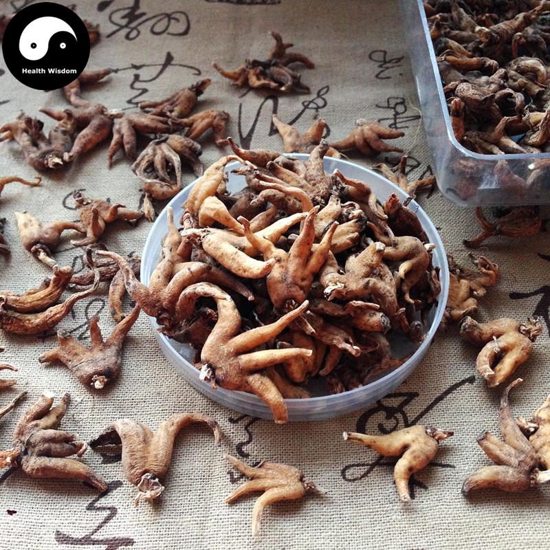 Shou Zhang Shen 手掌参, Conic Gymnadenia Rhizome, Gymnadenia Conopsea-Health Wisdom™