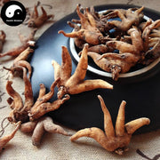 Shou Zhang Shen 手掌参, Conic Gymnadenia Rhizome, Gymnadenia Conopsea-Health Wisdom™