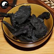 Shu Di Huang Pian 熟地黃片, Radix Rehmanniae Preparata, Shu Di-Health Wisdom™