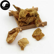 Shu Ji Nei Jin 熟鸡内金, Dry-fried Chicken Gizzard Lining, Gallus, Endothelium Corneum Gigeriae Galli-Health Wisdom™