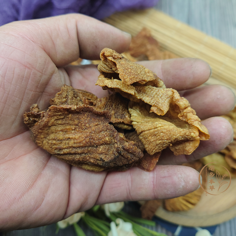 Shu Ji Nei Jin 熟鸡内金, Dry-fried Chicken Gizzard Lining, Gallus, Endothelium Corneum Gigeriae Galli-Health Wisdom™